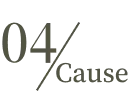 04Cause